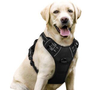 Rabbitgoo No Pull Dog Harness In Black, L